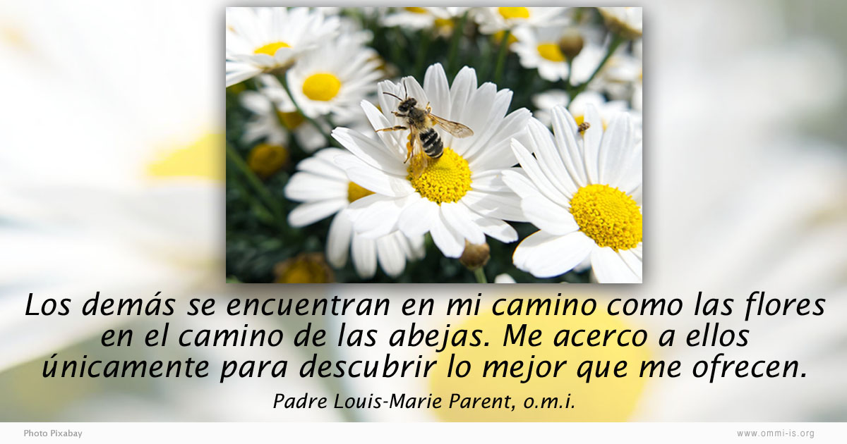 pensamiento11