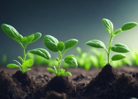 You sow seeds in my heart